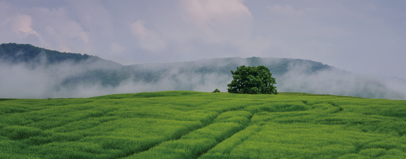 Igniva,Igniva builders,Builders in calicut,Builders and developers in calicut,calicut,Apartments for Sale in Kozhikode,Flats in Calicut