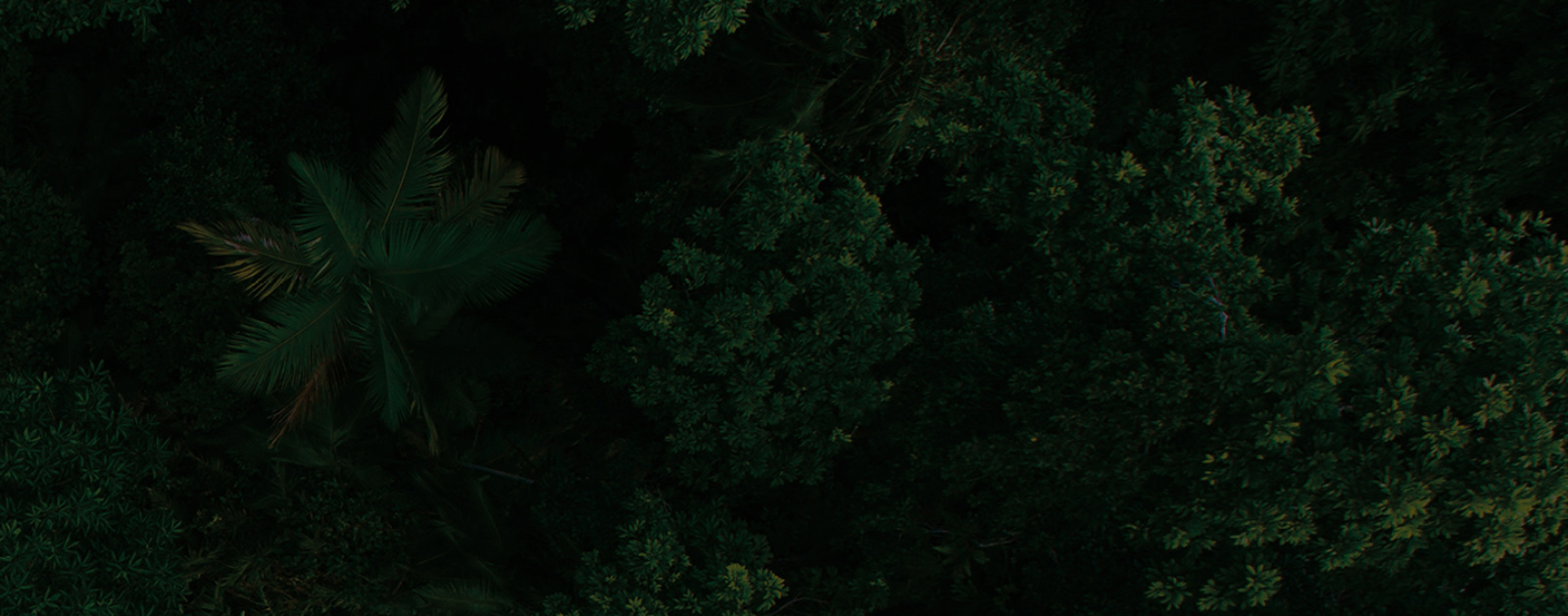 Igniva,Igniva builders,Builders in calicut,Builders and developers in calicut,calicut,Apartments for Sale in Kozhikode,Flats in Calicut